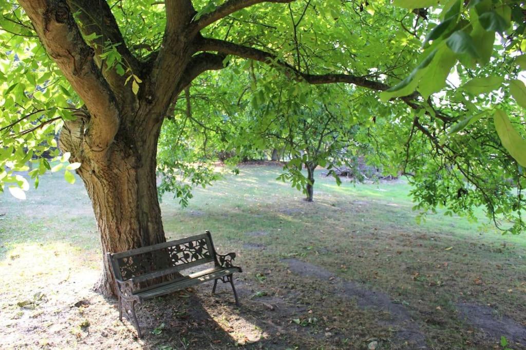Romantische Ferienwohnung Unter Den Linden Buchholz  Eksteriør bilde